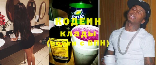 ПСИЛОЦИБИНОВЫЕ ГРИБЫ Дмитриев