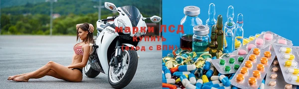 ПСИЛОЦИБИНОВЫЕ ГРИБЫ Дмитриев