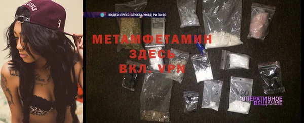 ПСИЛОЦИБИНОВЫЕ ГРИБЫ Дмитриев