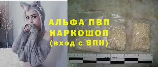 ПСИЛОЦИБИНОВЫЕ ГРИБЫ Дмитриев