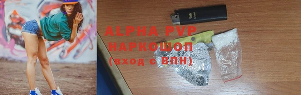 ПСИЛОЦИБИНОВЫЕ ГРИБЫ Дмитриев