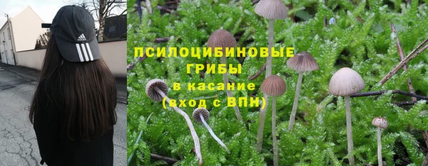 каннабис Дмитровск