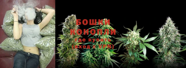 ПСИЛОЦИБИНОВЫЕ ГРИБЫ Дмитриев