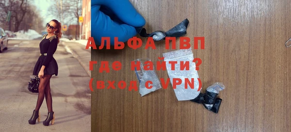 ПСИЛОЦИБИНОВЫЕ ГРИБЫ Дмитриев