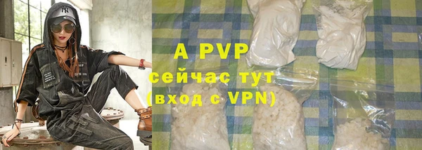 СК Ельня