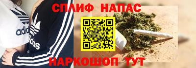 PSILOCYBIN Гатчина