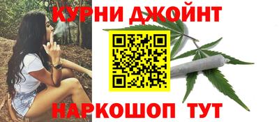 PSILOCYBIN Гатчина