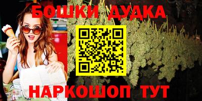 PSILOCYBIN Гатчина