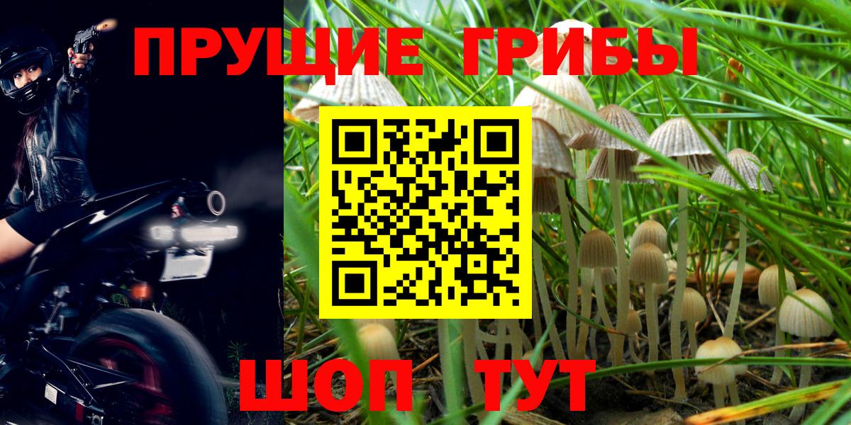 Галлюциногенные грибы Cubensis Еманжелинск